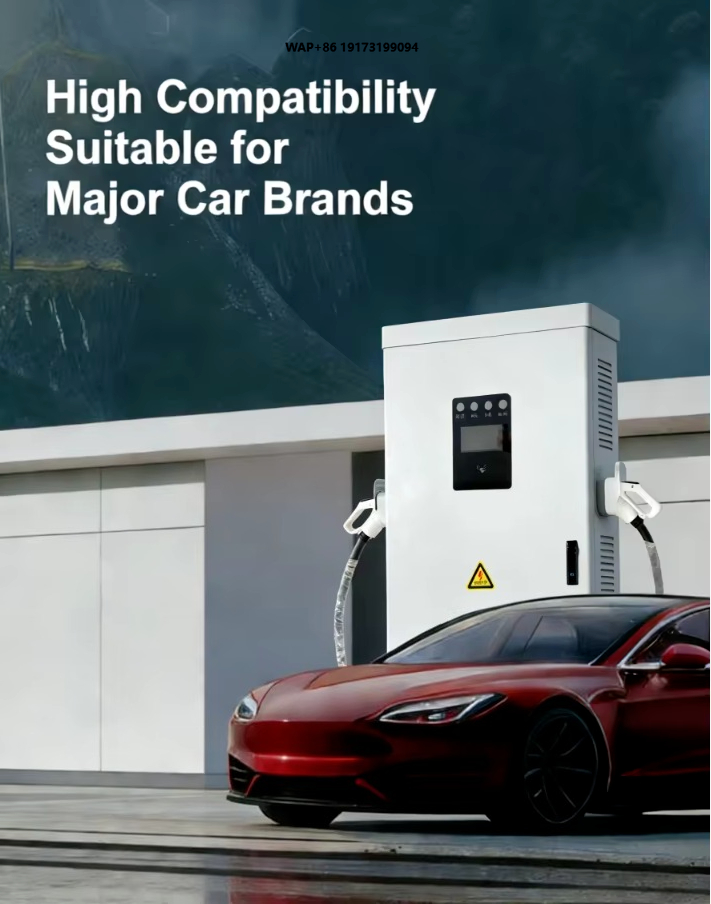 Ev Charging Pile - New Energy Vehicle (NEV) Charging Pile,